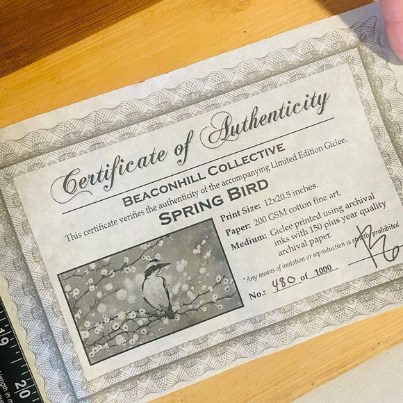 Beaconhill Collective Spring Bird Limited Edition 480/1000 Giclee Print 12x20.5” - Picture 10 of 12